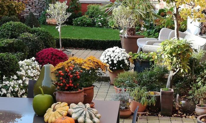 Adamas B&B Dendermonde Ngoại thất bức ảnh